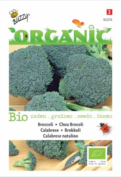Broccoli Calabria Natalino BIO (Brassica) 450 seeds BU